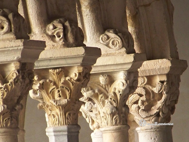 Aix-en-Provence. Saint Sauveur. Capiteles vegetales