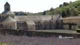 Sénanque. Abadía de Notre Dame