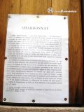 Chardonnay. Saint Germain. Cartel