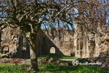 Kirkstall (Leeds). Abadia.Refectorio