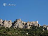 peyrepertuse_circuloromanico_2